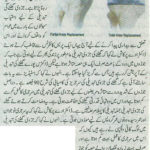 Siasat_Page 9_June 27, 2014