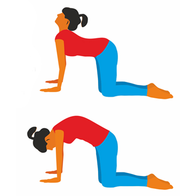 Core Exercises For Back Pain - UDAI OMNI HOSPITAL